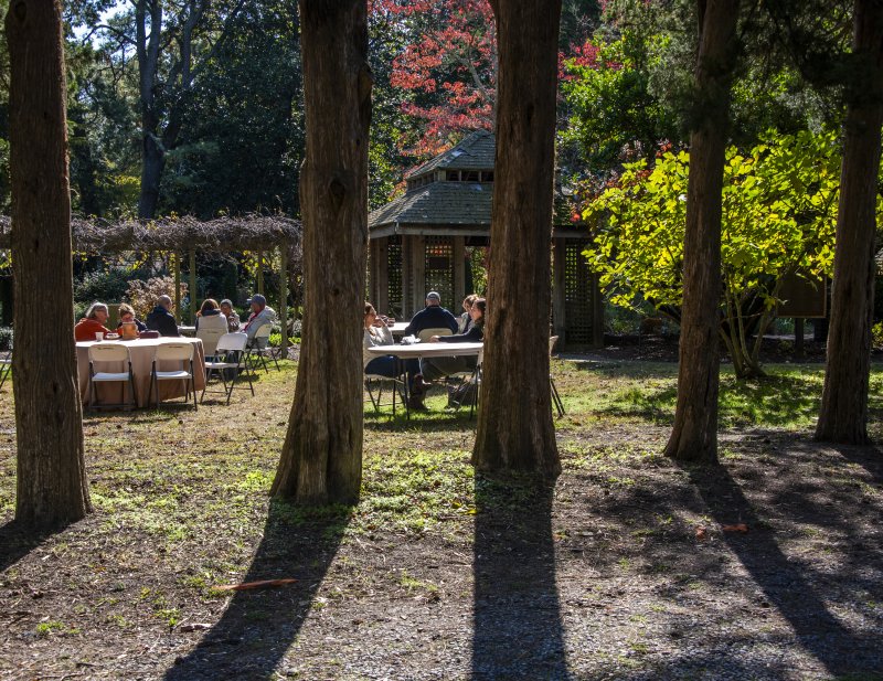 Guests sit in the garden under the cedars, enjoying the warm fall weather.